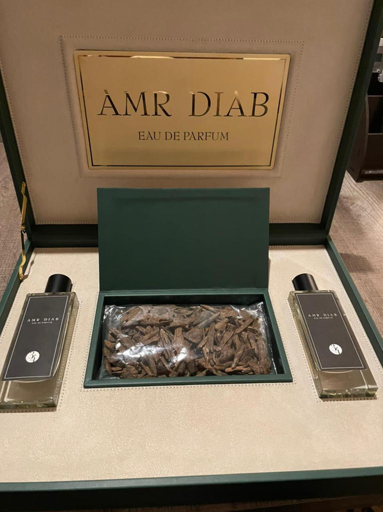 عمرو دياب