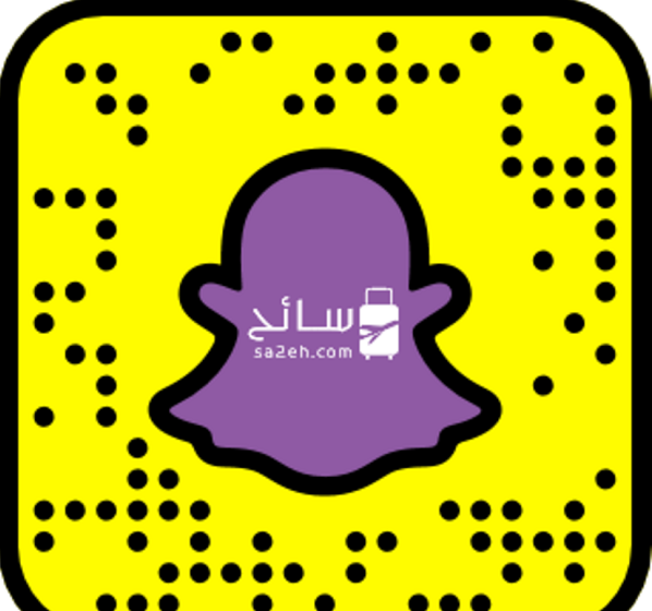 شركة حاوي